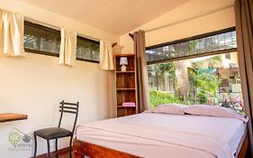 Manuel Antonio Hostel Resort
